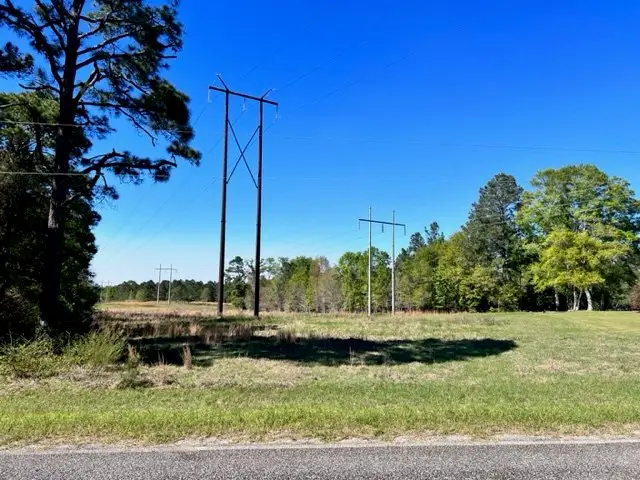 0 Whiddon Mill Road, Tifton, GA 31793 - Image #3