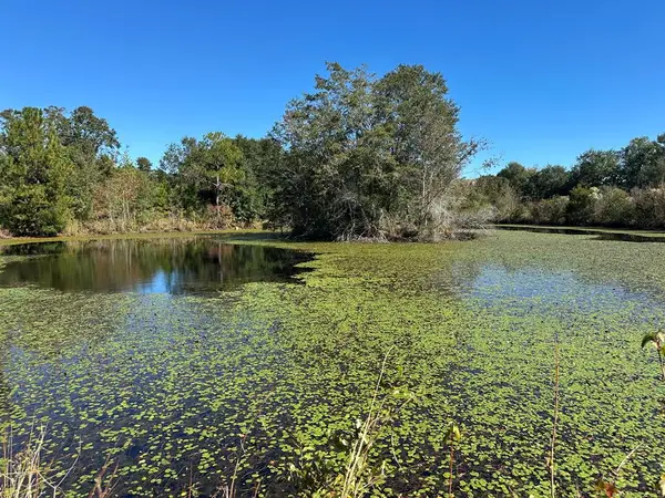 0 Hwy 82, Sumner, GA 31789