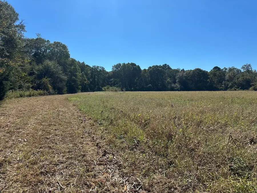 0 Pt Salter Road, Poulan, GA 31781 - Image #2