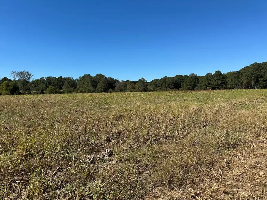 0 Pt Salter Road, Poulan, GA 31781 - Image #3