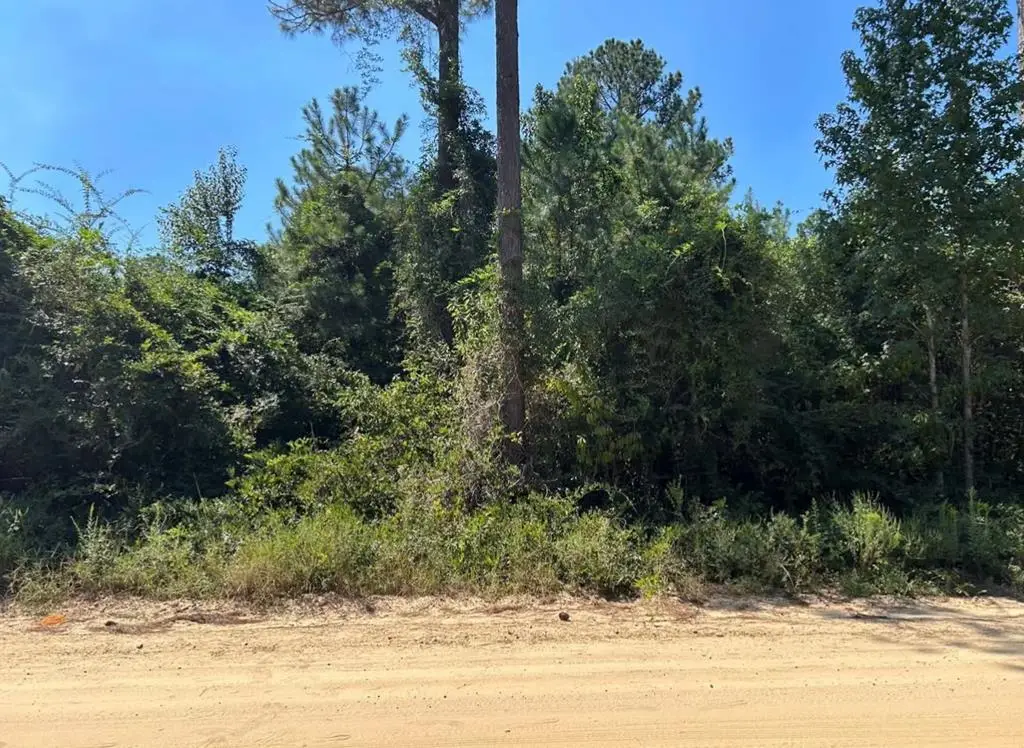 0 Largemouth Drive, Oakfield, GA 31772 - Image #1