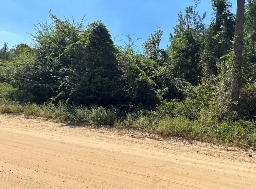 0 Largemouth Drive, Oakfield, GA 31772 - Image #2