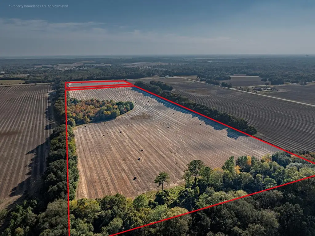 3431 Gladys Court, Albany, GA 31705 - Image #1