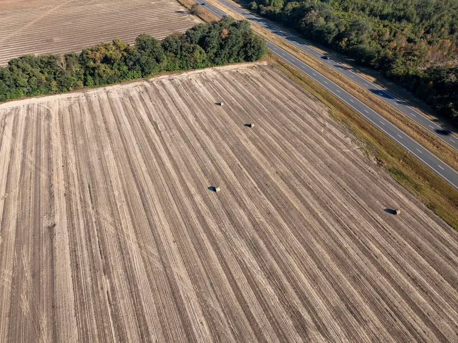 3431 Gladys Court, Albany, GA 31705 - Image #3