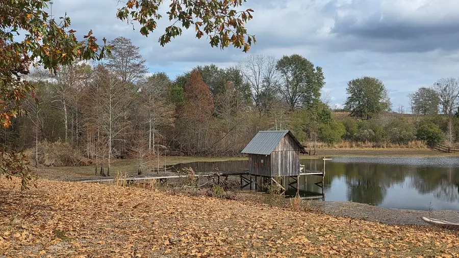 2157 Walker Road, Abbeville, GA 31001 - #2