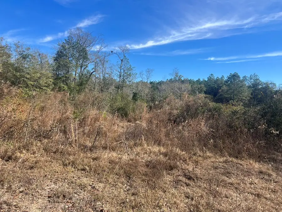 0 Clements Simmons Rd, Tifton, GA 31794 - Image #3