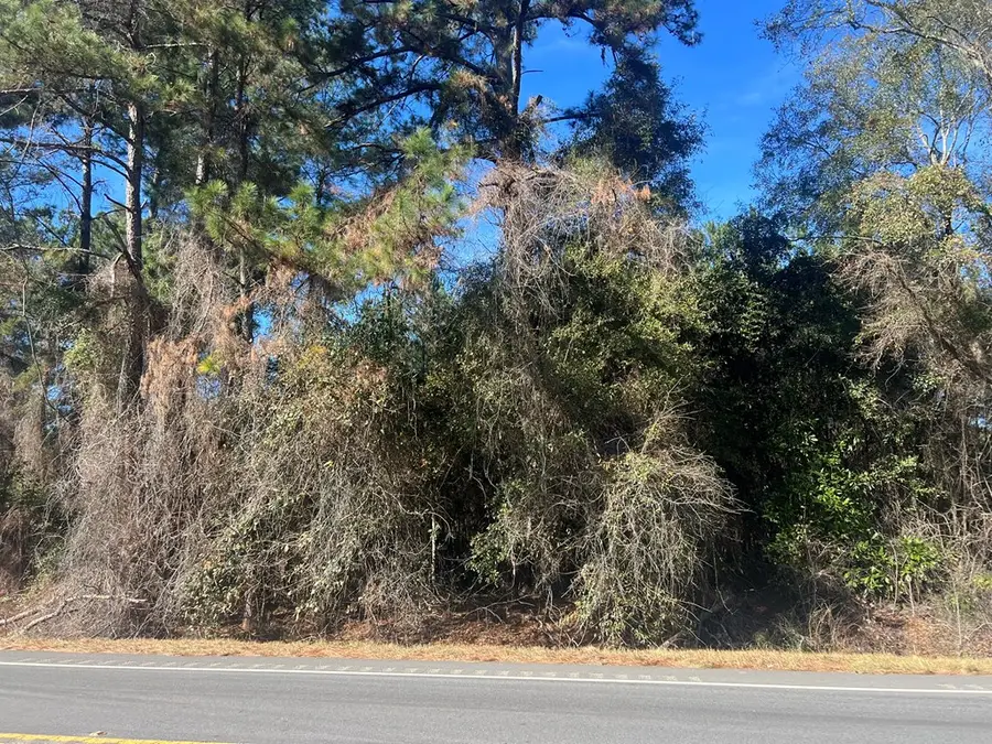 0 Us Hwy 319 N, Tifton, GA 31794 - Image #2