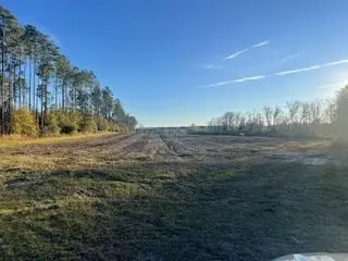 00 Satilla Church Rd, Wray, GA 31798 - Image #3