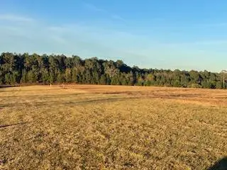 00 Holt Rd, Wray, GA 31798 - Image #1