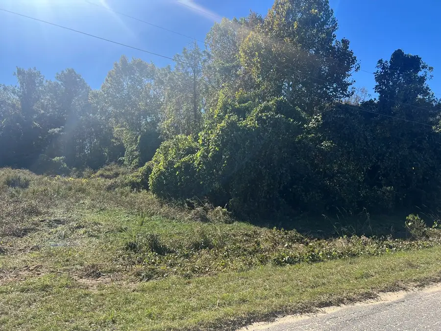 0 E Monroe Ave, Ashburn, GA 31714 - Image #3