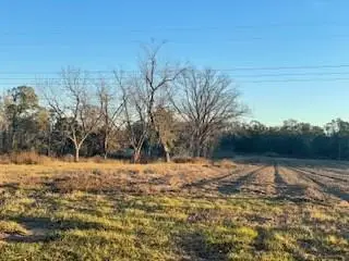 00 Holt Rd (25 Acres), Wray, GA 31798 - Image #2