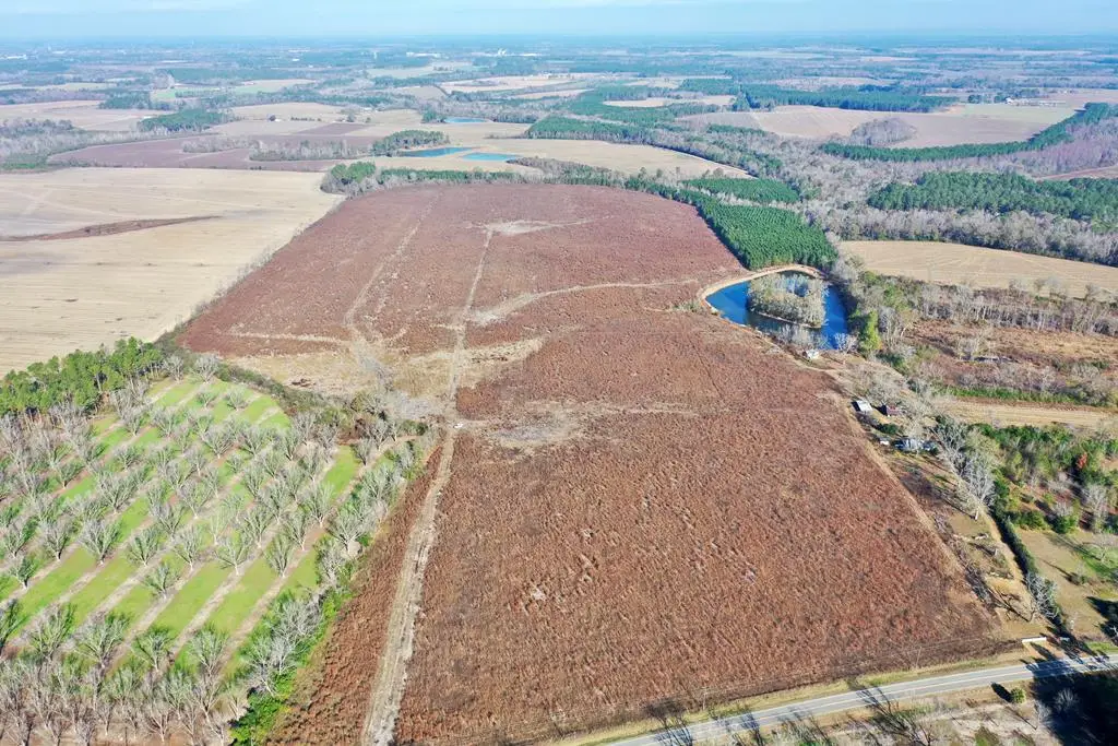 0 Frank Road, Ocilla, GA 31774 - Image #1