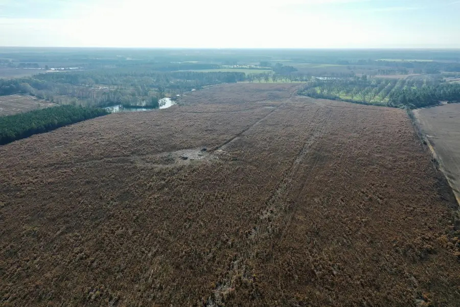 0 Frank Road, Ocilla, GA 31774 - Image #2