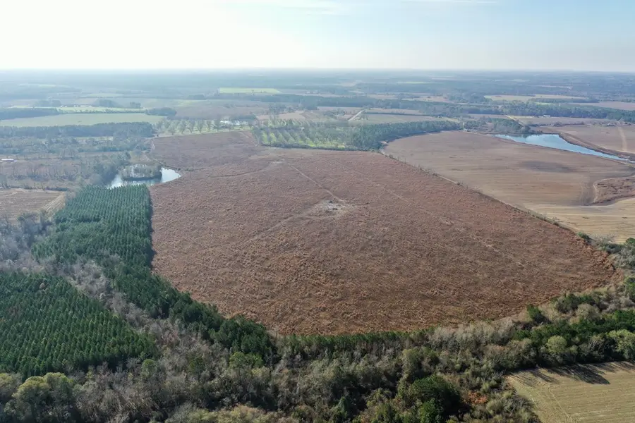 0 Frank Road, Ocilla, GA 31774 - Image #3