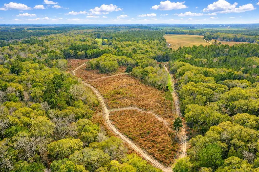 0 Omega Eldorado Rd, Tifton, GA 31793 - Image #1