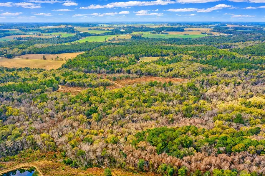 0 Omega Eldorado Rd, Tifton, GA 31793 - Image #2