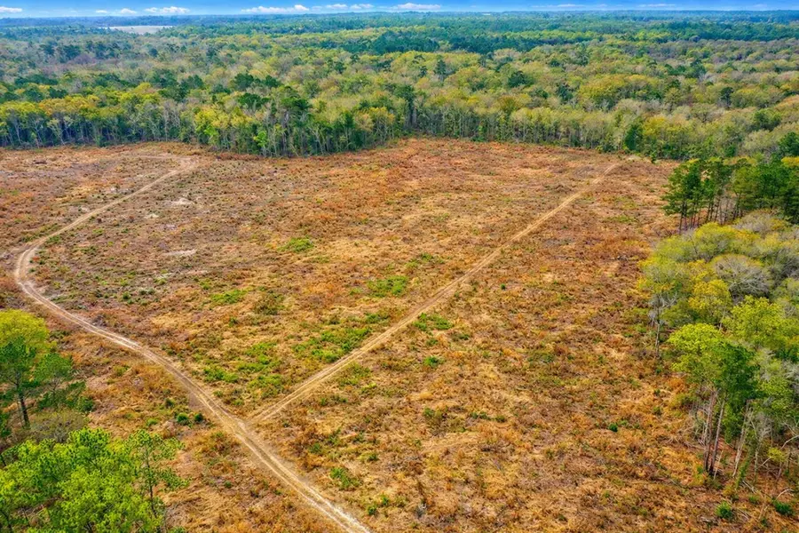 0 Omega Eldorado Rd, Tifton, GA 31793 - Image #3