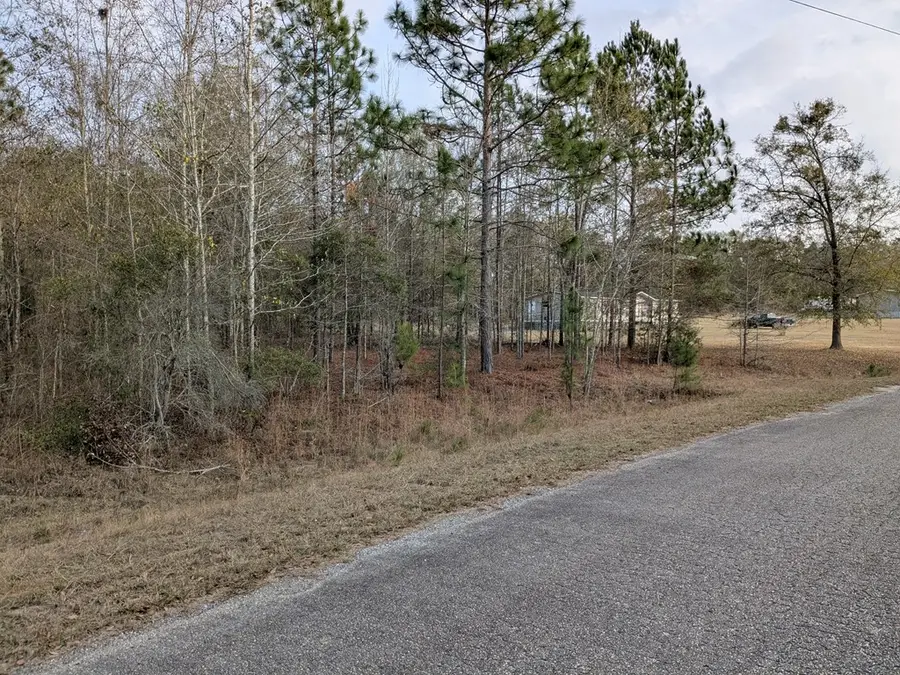 123 SW Case Rd, Sylvester, GA 31791 - Image #2
