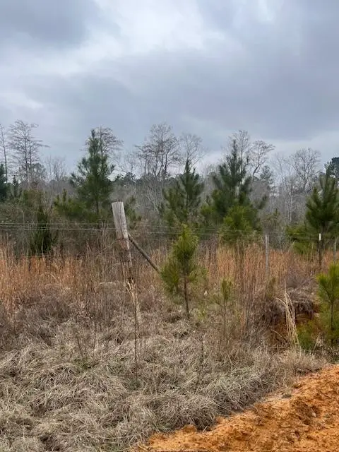 0 Jacksonville Hwy, Fitzgerald, GA 31750