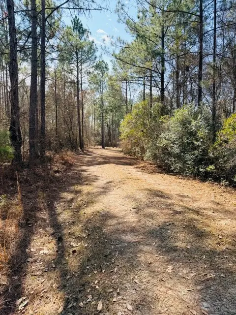 302 Primrose Rd, Fitzgerald, GA 31750 - #2