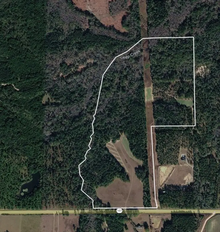 1801 Ga Highway 107, Ashburn, GA 31714 - #3