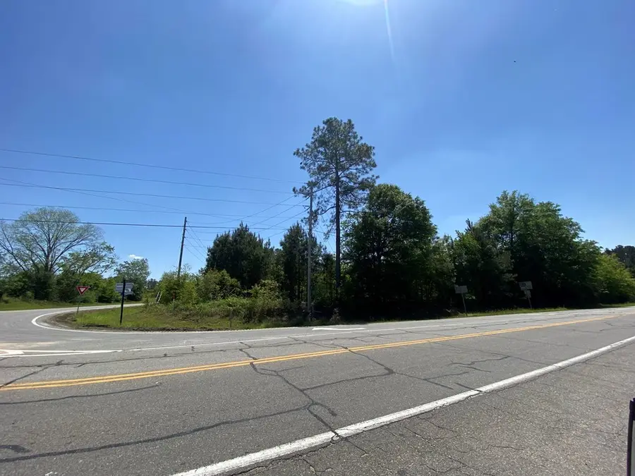 0 Irwinville Hwy & Ben Hill Drive, Fitzgerald, GA 31750 - #3