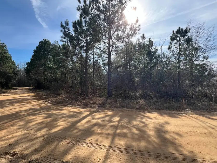 0 Thelma Lane, Fitzgerald, GA 31750 - #2