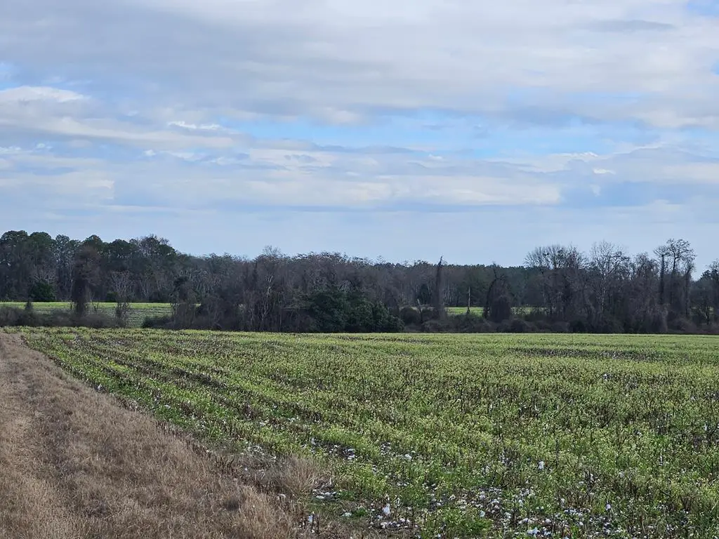 0 Garrett Road, Ashburn, GA 31714 - #1