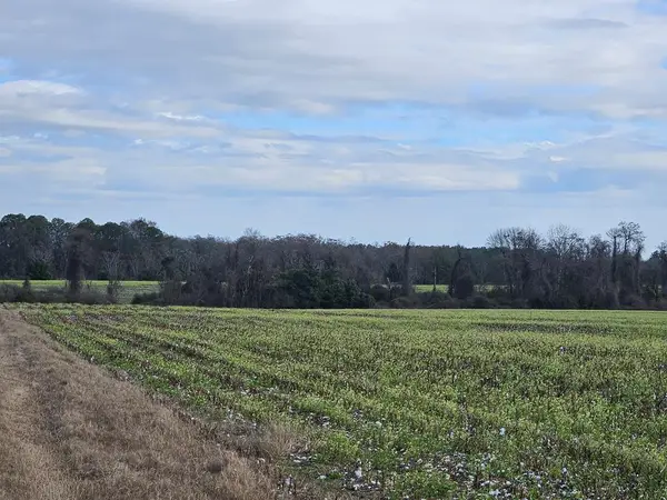 0 Garrett Road, Ashburn, GA 31714