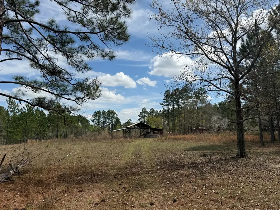 642 Sturgeon Creek Church Road, Fitzgerald, GA 31750 - #2