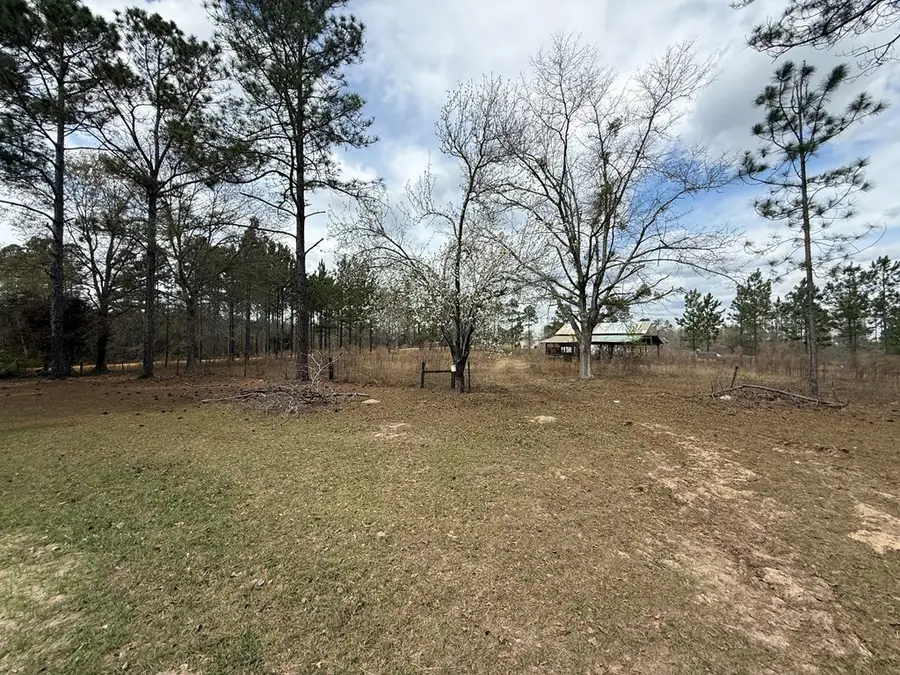 642 Sturgeon Creek Church Road, Fitzgerald, GA 31750 - #3