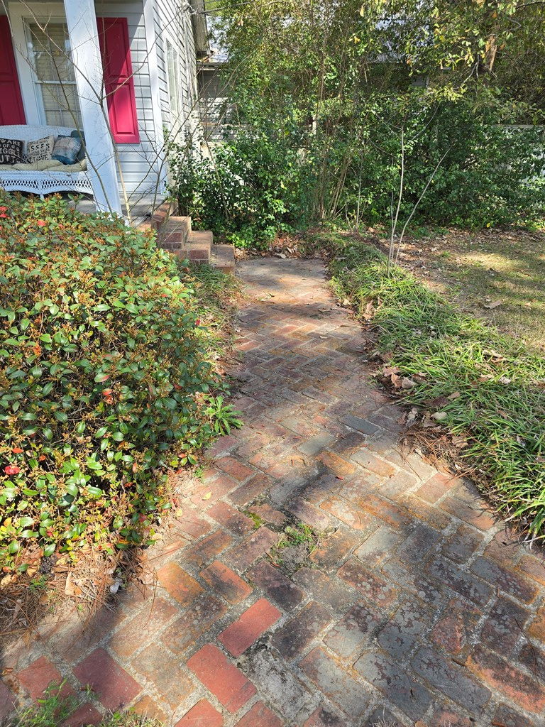 117 Lower Rebecca Road, Fitzgerald, GA 31750 - #3