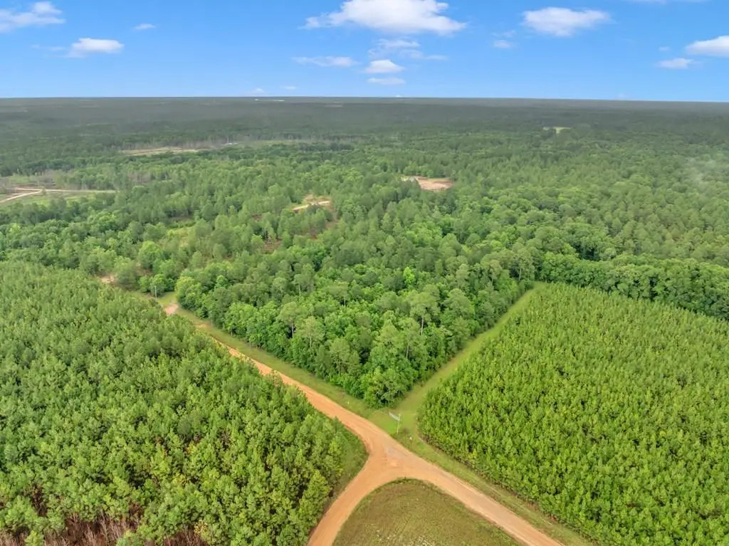 2848 Lee Rd, Ashburn, GA 31714 - #1