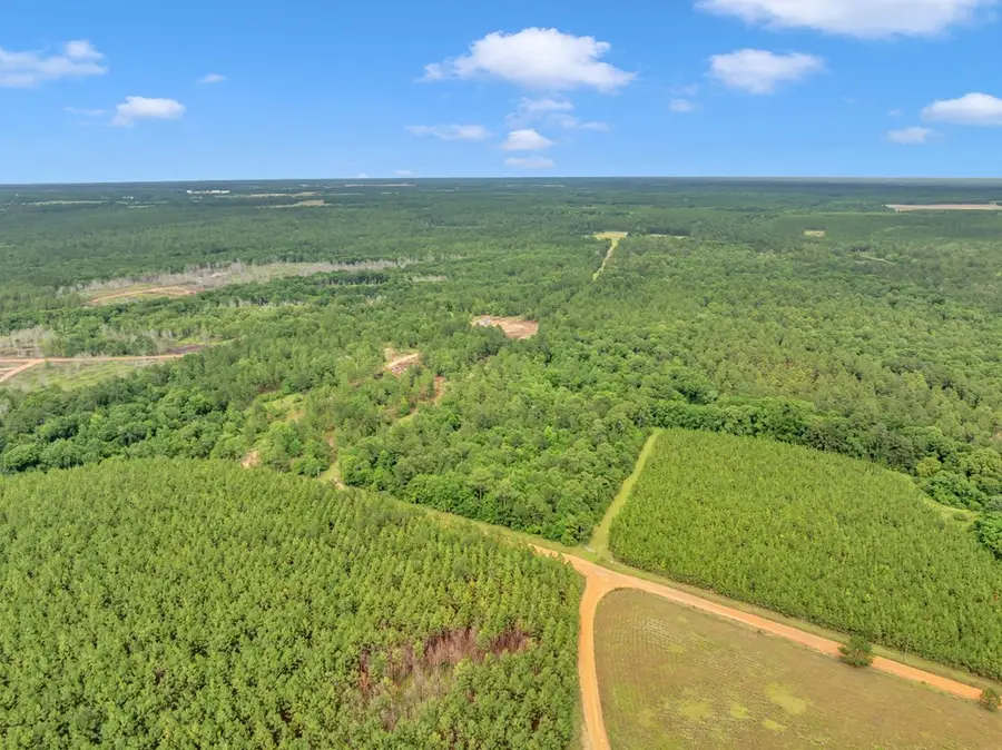 2848 Lee Rd, Ashburn, GA 31714 - #3