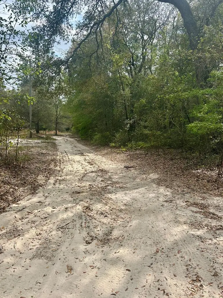 0 Boxelder, Ocilla, GA 31774 - #1