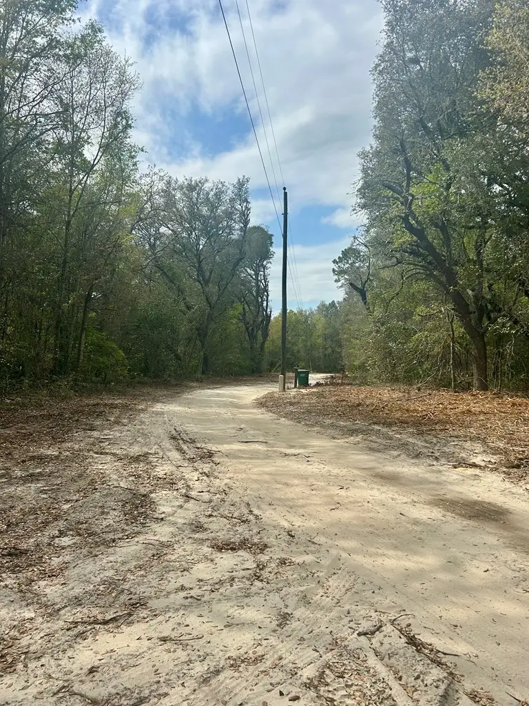 0 Boxelder, Ocilla, GA 31774 - #2