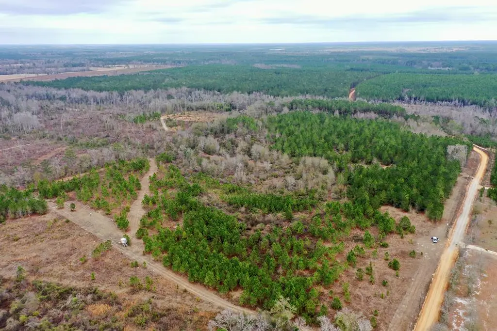 0 Sparrow Rd, Fitzgerald, GA 31750 - #1