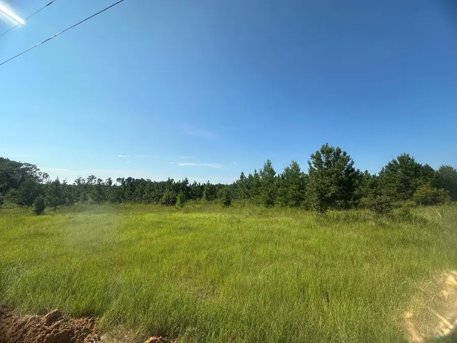 0 Sparrow Rd, Fitzgerald, GA 31750 - #3