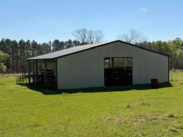 0 Camp Brooklyn Rd, Fitzgerald, GA 31750 - #2