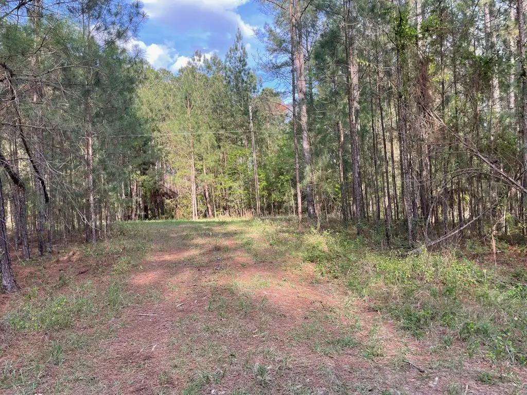 00 Kelly Rd, Wray, GA 31798 - #1