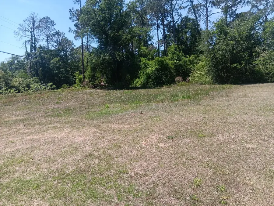 0 Amber Street, Fitzgerald, GA 31750 - #3