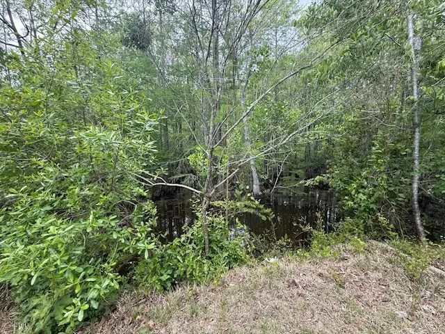 348 Pleasure Lake Lane, Ocilla, GA 31774 - #3