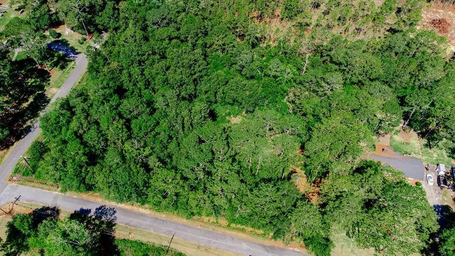 308 Frances Street, Sylvester, GA 31791 - #2