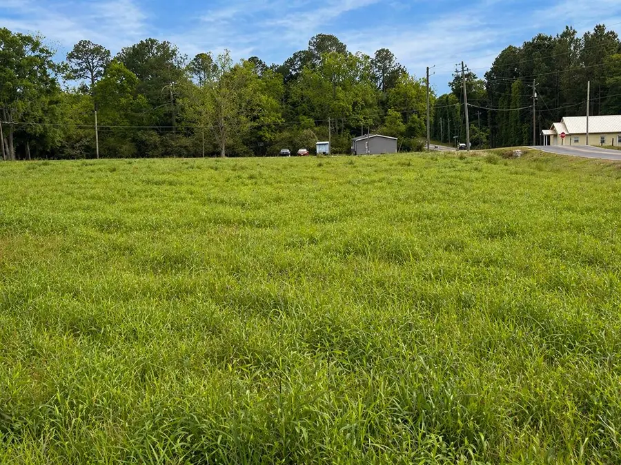 0 Elm, Poulan, GA 31781 - #3