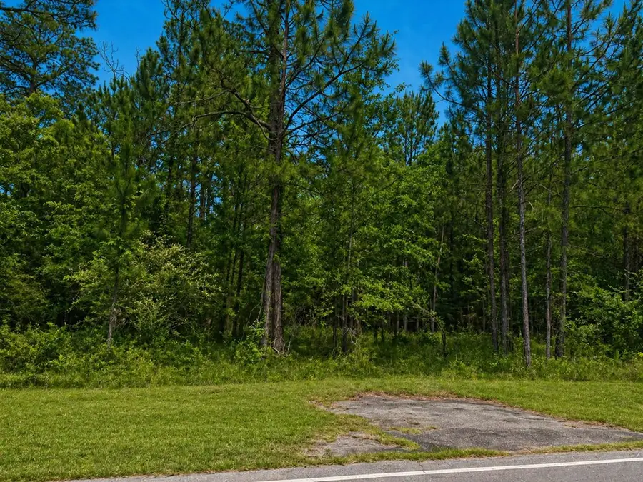 405 S Monroe, Sylvester, GA 31791 - #2