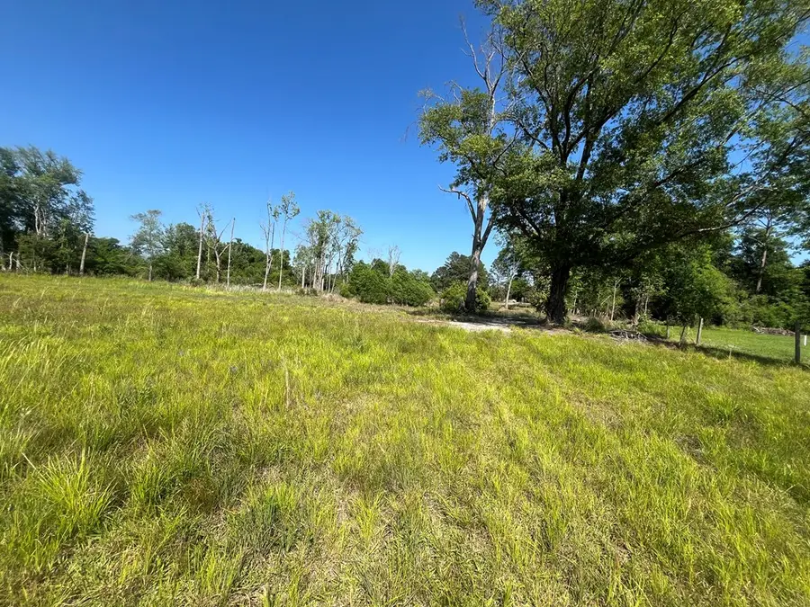 213 Bobwhite Lane, Ocilla, GA 31774 - #3
