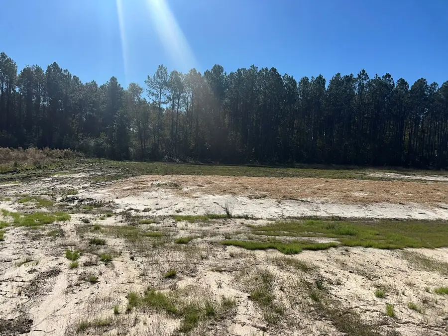 18 Mt Olive Church Rd, Tifton, GA 31794 - #2