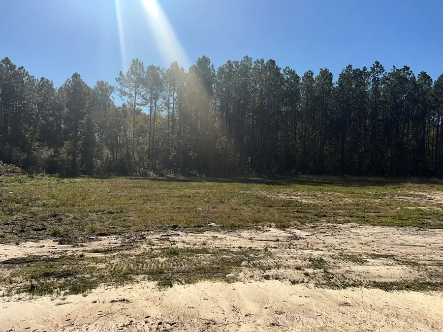 18 Mt Olive Church Rd, Tifton, GA 31794 - #3