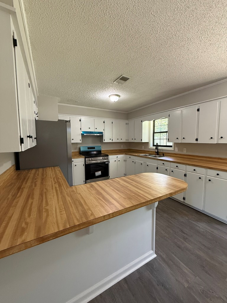 132 Blueberry Lane, Fitzgerald, GA 31750 - #3