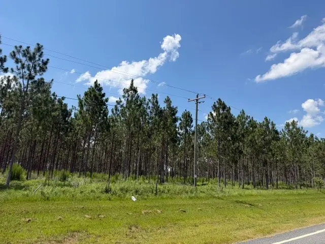0 Hwy 159, Ashburn, GA 31714 - #2